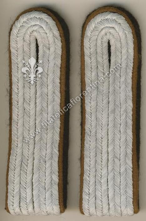 Ufficiale inferiore Unità Ricognizione (1938-42) - Waffenfarbe marrone brown