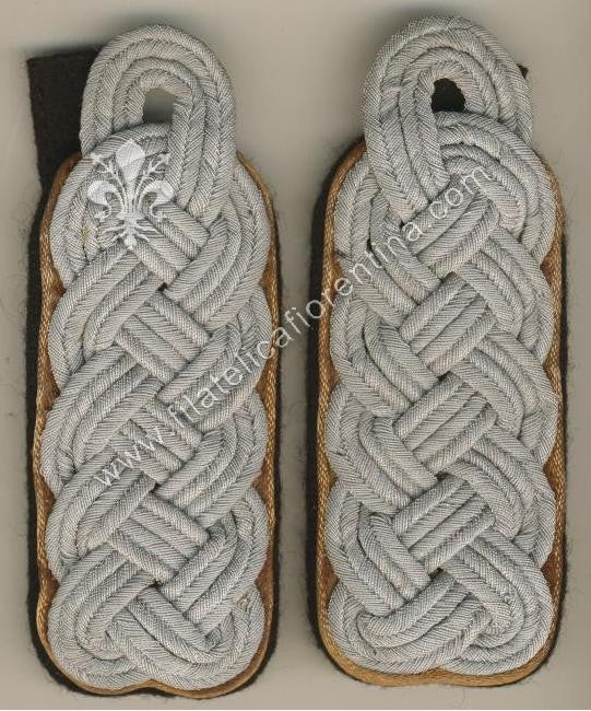 Ufficiale superiore Unità di Ricognizione (1938-42) - Waffenfarbe marrone brown