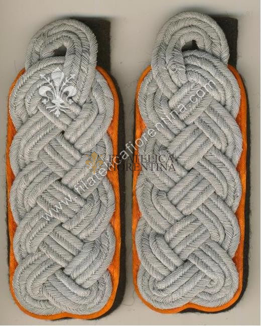 Ufficiale Superiore Police/Special Service - Waffenfarbe arancio orange