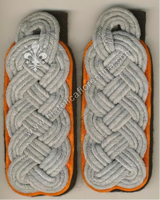 Ufficiale Superiore Police/Special Service - Waffenfarbe arancio orange