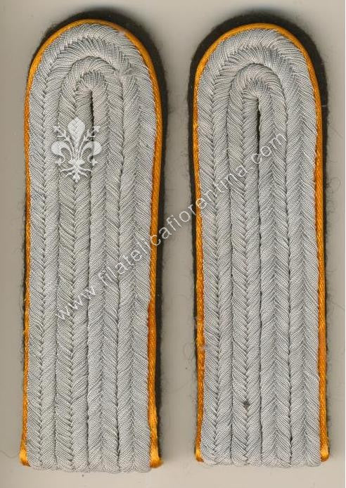 Ufficiale inferiore Polizia/Forze Speciali - Waffenfarbe arancio