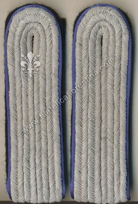 Ufficiale inferiore Medical Service/Administation - Waffenfarbe Blue