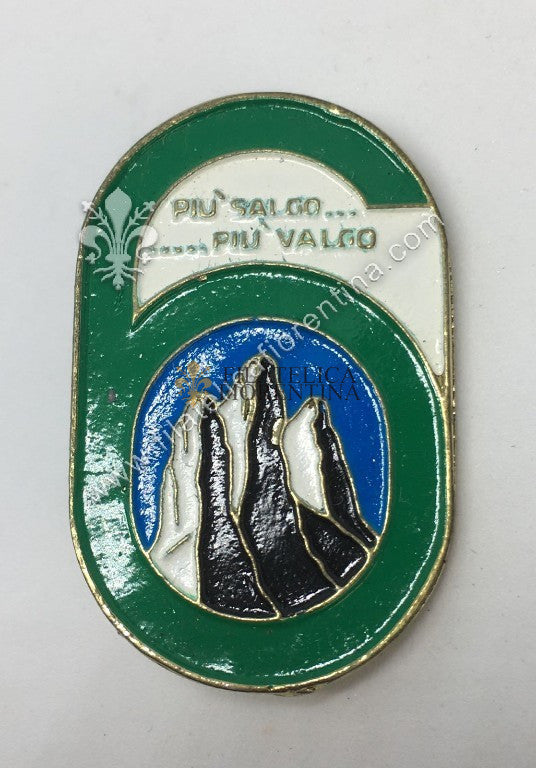 distintivo del 6° Rgt alpino