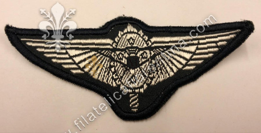 Brevetto Esercito Brasiliano