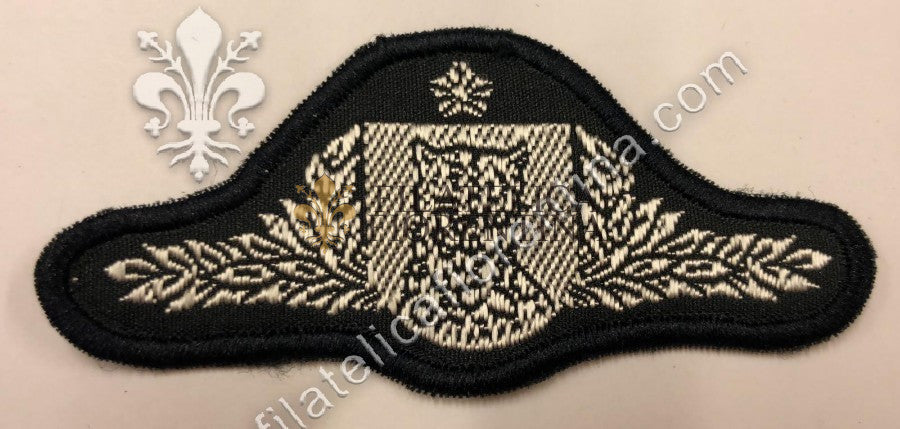 Brevetto Esercito Brasiliano