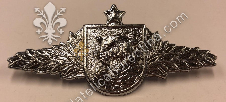 Brevetto Esercito Brasiliano