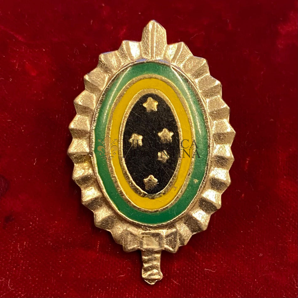 Distintivo Esercito Brasiliano (chiusura a vite)