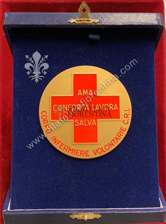 Targa Corpo Infermiere Volontarie C.R.I - Ama Conforta Lavora Salva