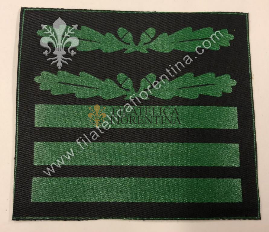 Grado di Colonnello SS "STANDARTENFUHRER" - fondo nero mod. plastificato verde