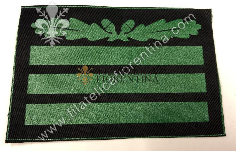 Gradi da Capitano SS "HAPTSTUMFUHRER" - fondo nero, mod. plastificato verde