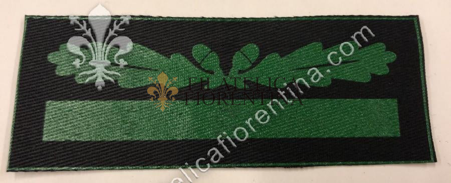 Gradi da Sottotenente SS "UNTERSTUMFUHRER" - fondo nero, mod. plastificato verde