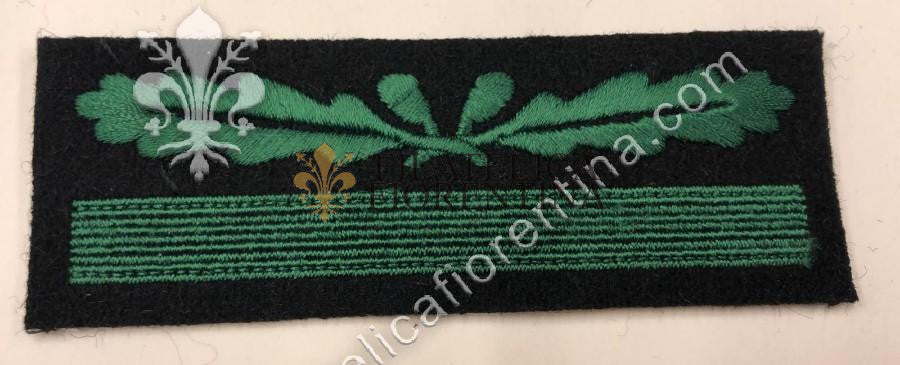 Gradi da Sergente "UNTERSTUMFUHRER" - fondo nero, filo verde
