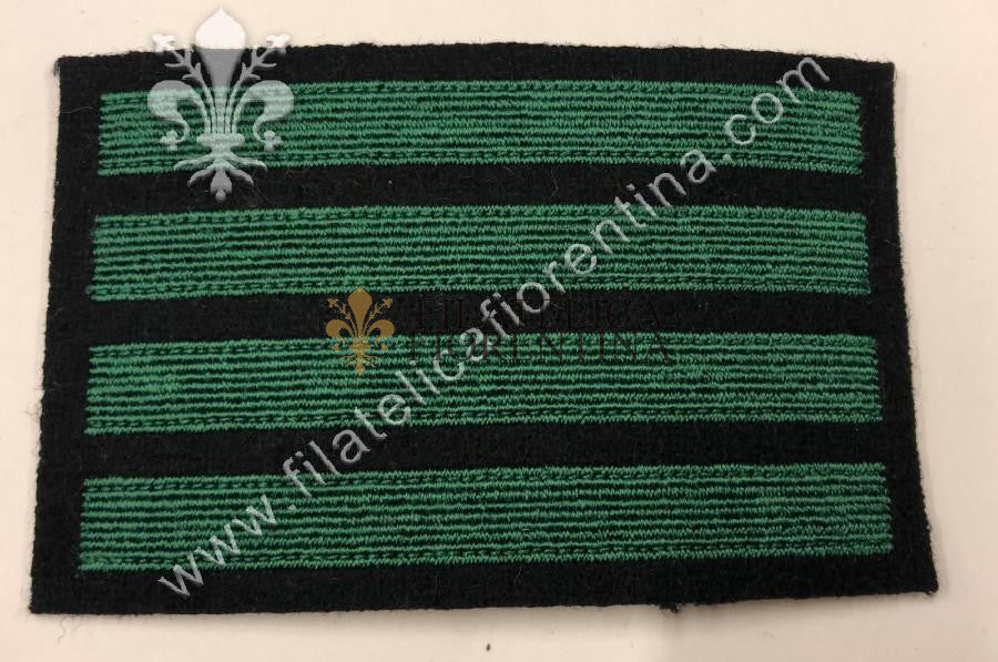Gradi da Maresciallo Maggiore "HAUPTSHARFUHRER" - fondo nero, filo verde