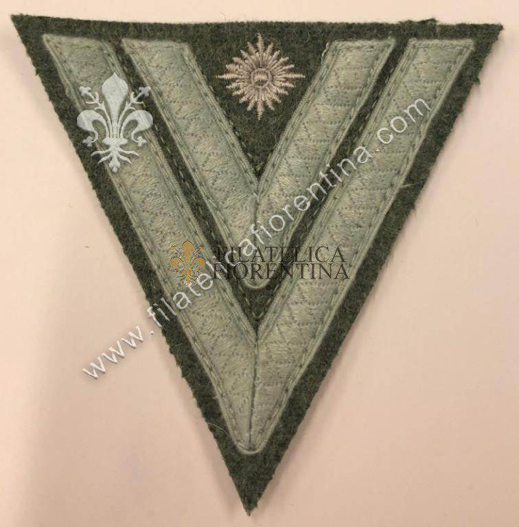 Grado da "STABSGEFREITER" fondo grigio/verde e tress mimetico