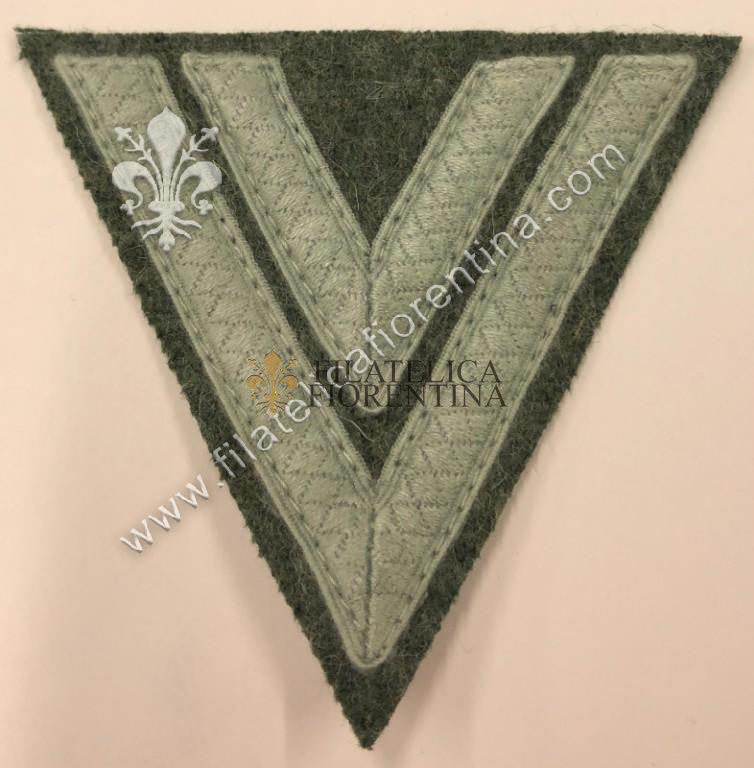 Gradi da "OBERGEFREITER" fondo grigio/verde tress mimetico