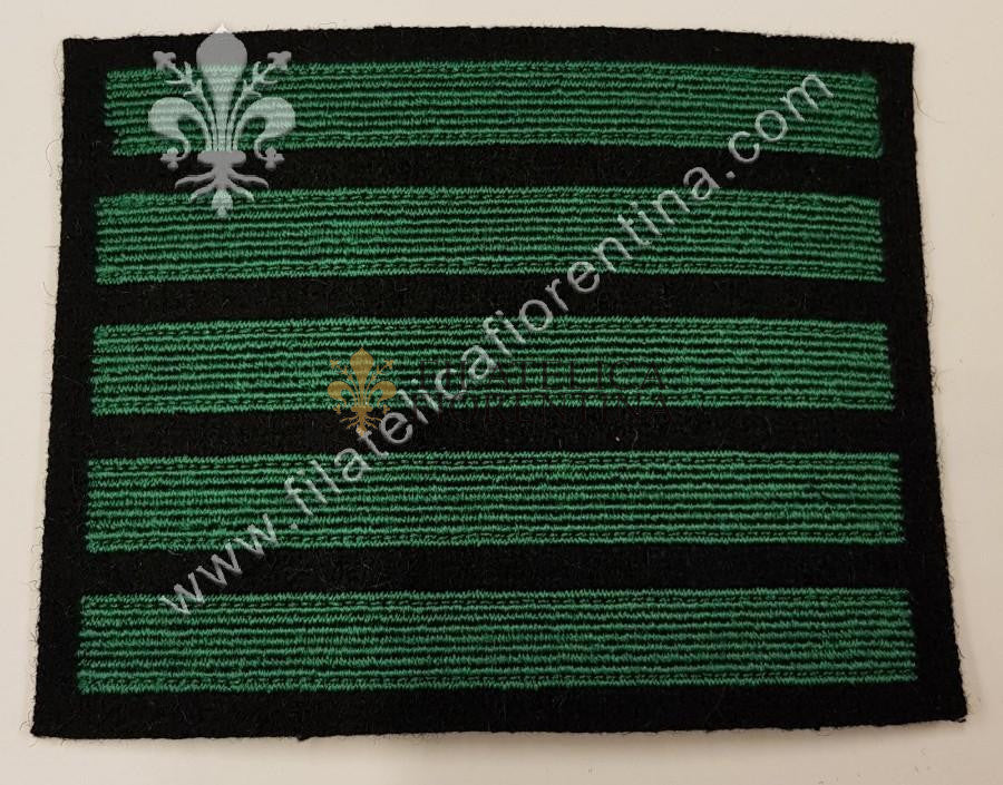 Grado da Comandante di Squadra "STURMSHARFUHRER" - fondo nero, filo verde