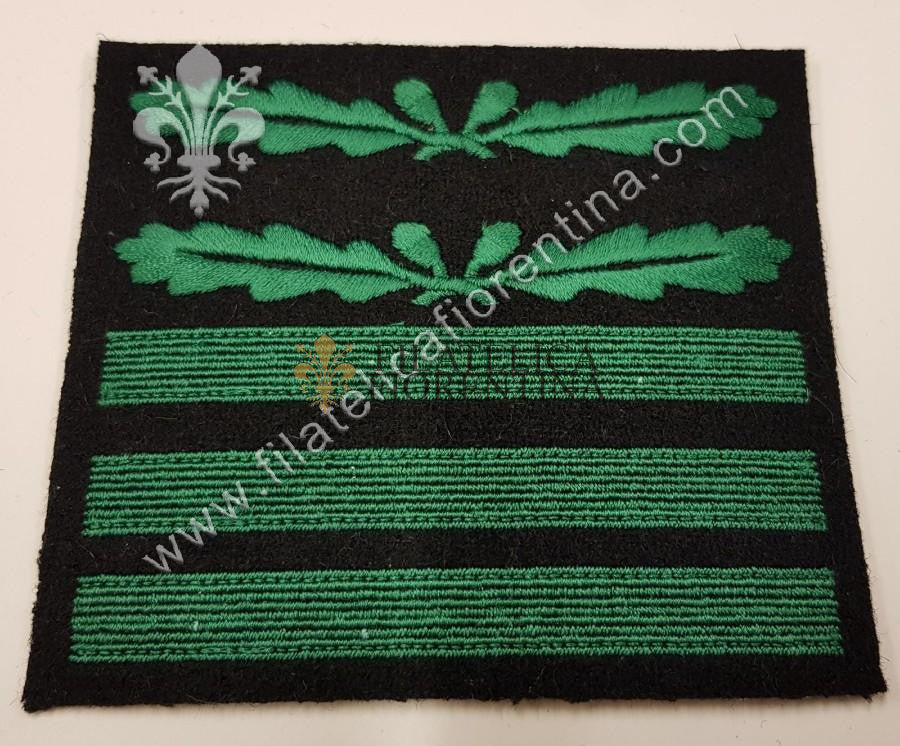 Grado di Colonnello SS "STANDARTENFUHRER" - fondo nero, filo verde