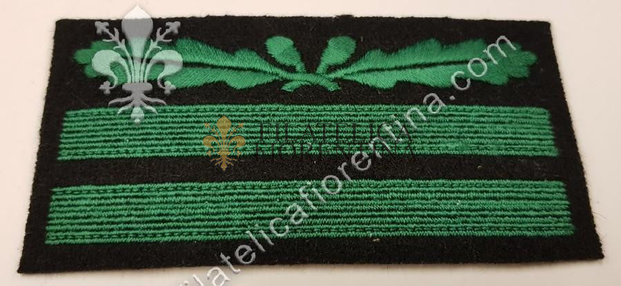 Gradi da Tenente SS "OBERSTUMFUHRER" - fondo nero, filo verde
