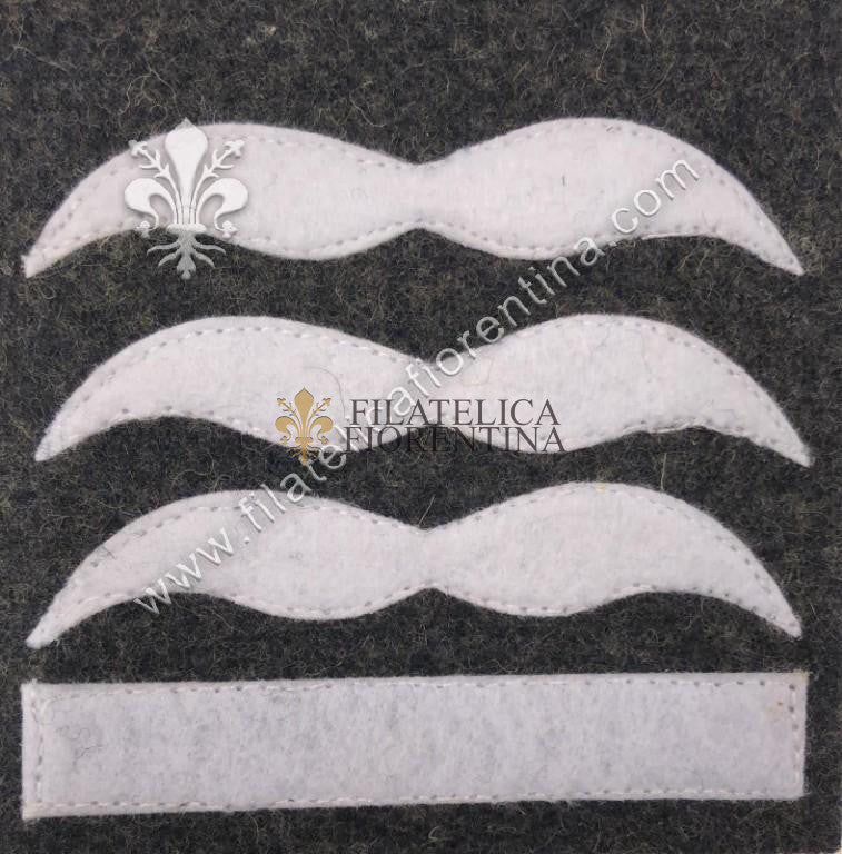 Grado da Hauptmann - bianco su fondo grigio-blu