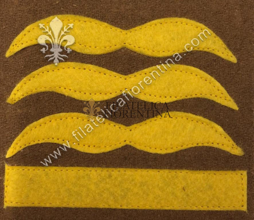 Grado da Generale der Flieger / der generale Fallschirmtruppe - giallo su fondo kaki