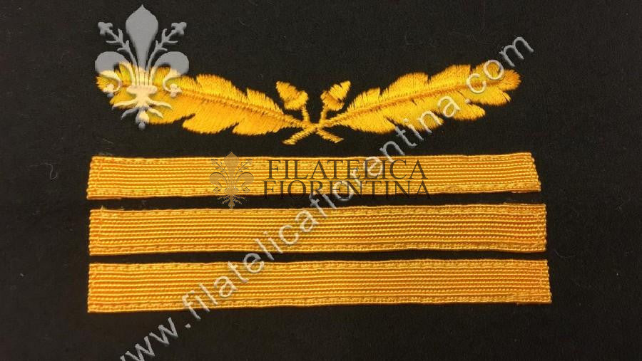 Grado da Generale Capo d'Armata " Obergruppenfuhrer " - su panno grande nero, filo e nastro giallo