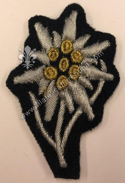 Stella alpina (Edelweiss) da Ufficiale in canottiglia