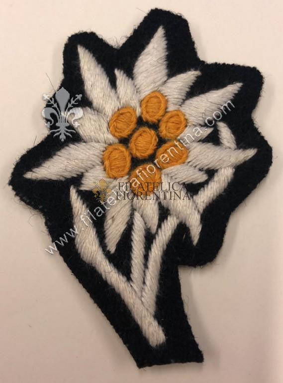Stella Alpina (Edelweiss) in panno - variante