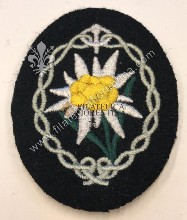 Stella Alpina ( Edelweiss ) da truppa - fondo nero