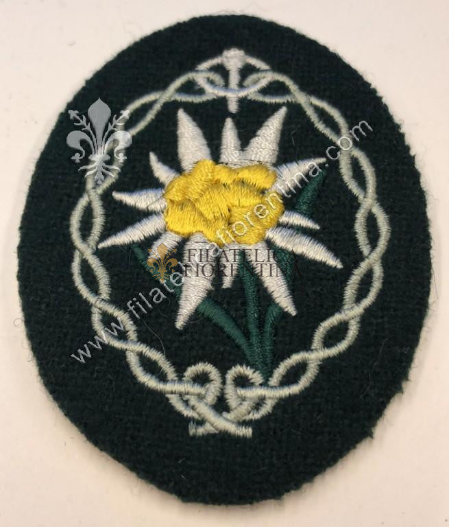Stella Alpina ( Edelweiss ) su fondo verde scuro