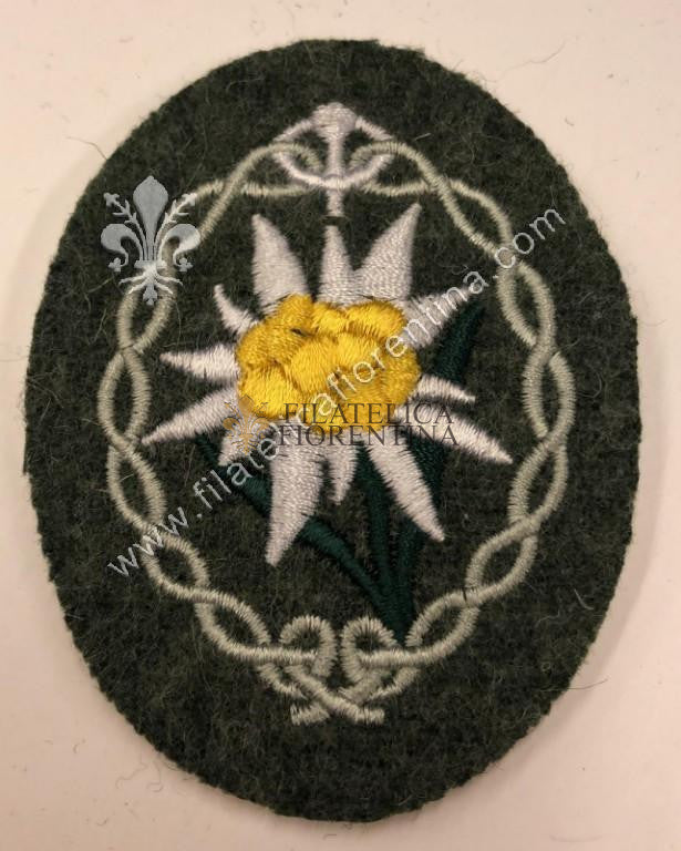 Stella Alpina (Edelweiss) su fondo grigio-verde