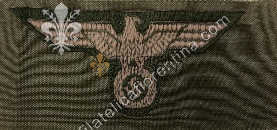 Aquila da truppa - grigio, fondo verde chiaro