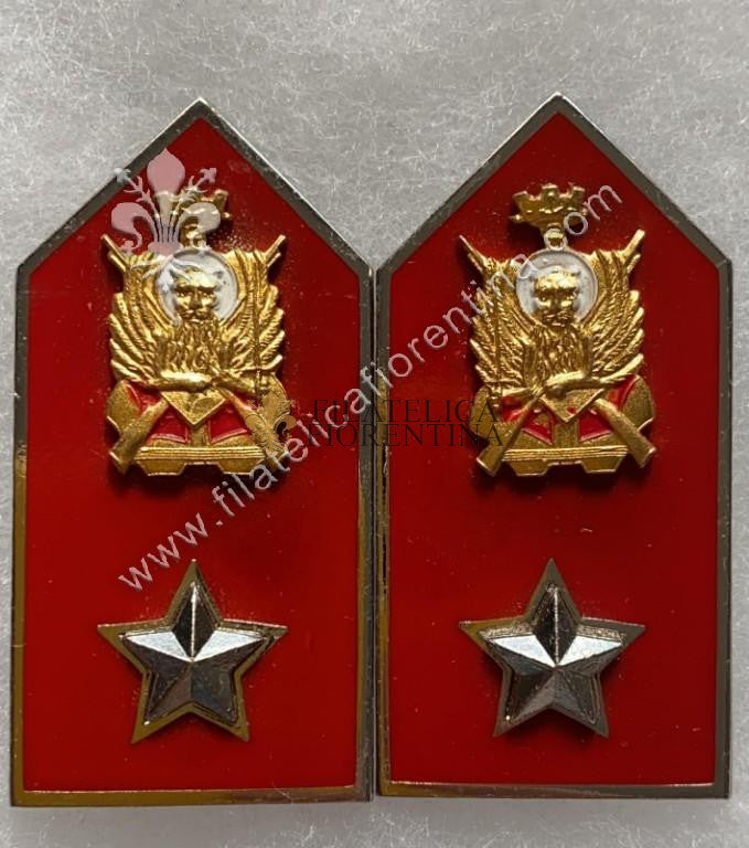 Mostrine Marina Militare - Reggimento Lagunari "Serenissima" fanteria d'assalto anfibio