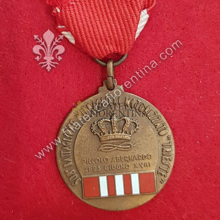 508 ° Battaglione Mitraglieri Motorizzato "Trieste"