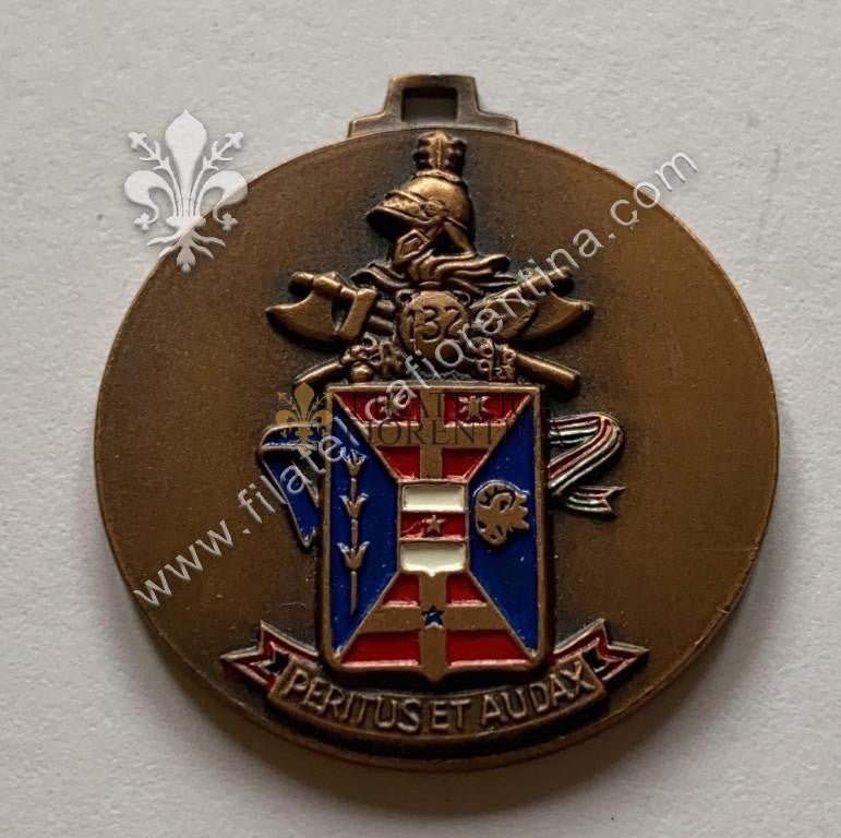 Medaglia del 132° Battaglione Genio Pionieri "Livenza"