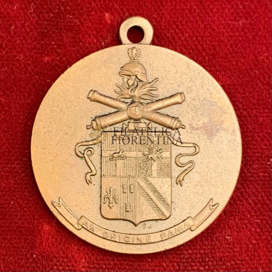 Medaglia del 5° Reggimento Artiglieria da Campagna