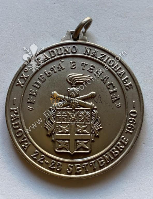 Medaglia Associazione Nazionale Artiglieri d'Italia  -  XX° Raduno Nazionale PADOVA 22