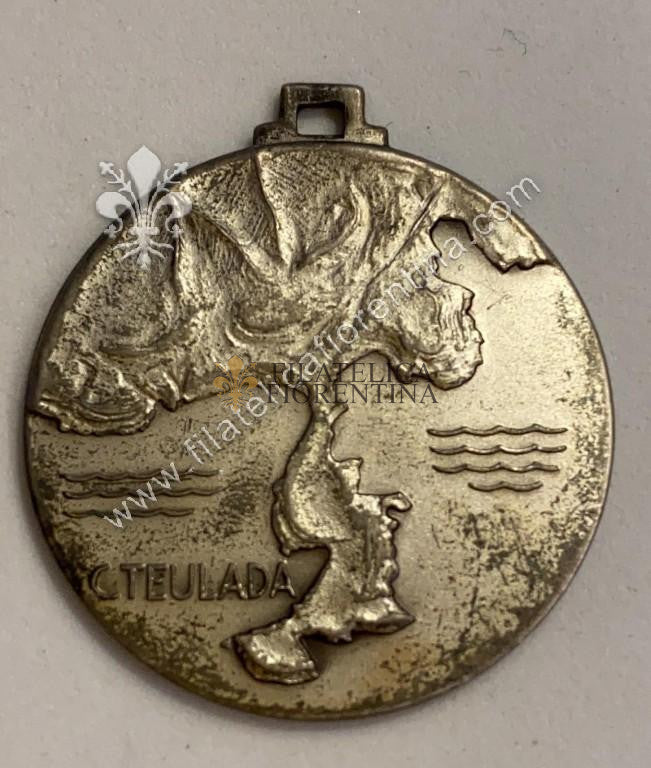 Medaglia del Campo Addestramento Unità corazzate  -  C. TEULADA