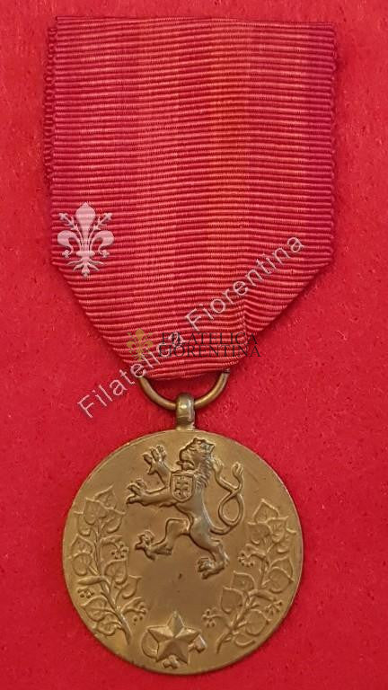 Servizio militare per la Patria