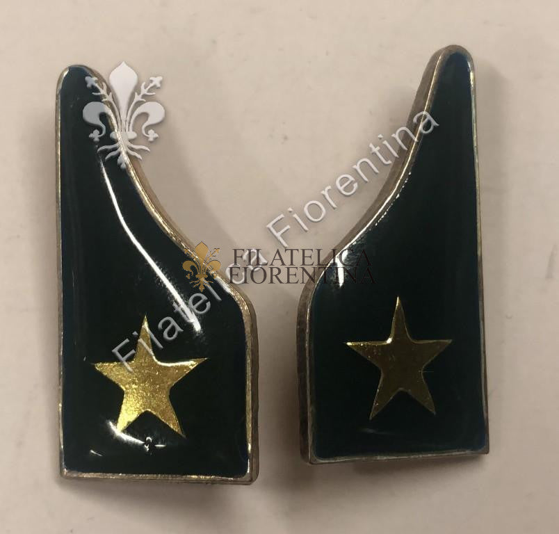 Mostrine dei Reparti Alpini della Salmeria