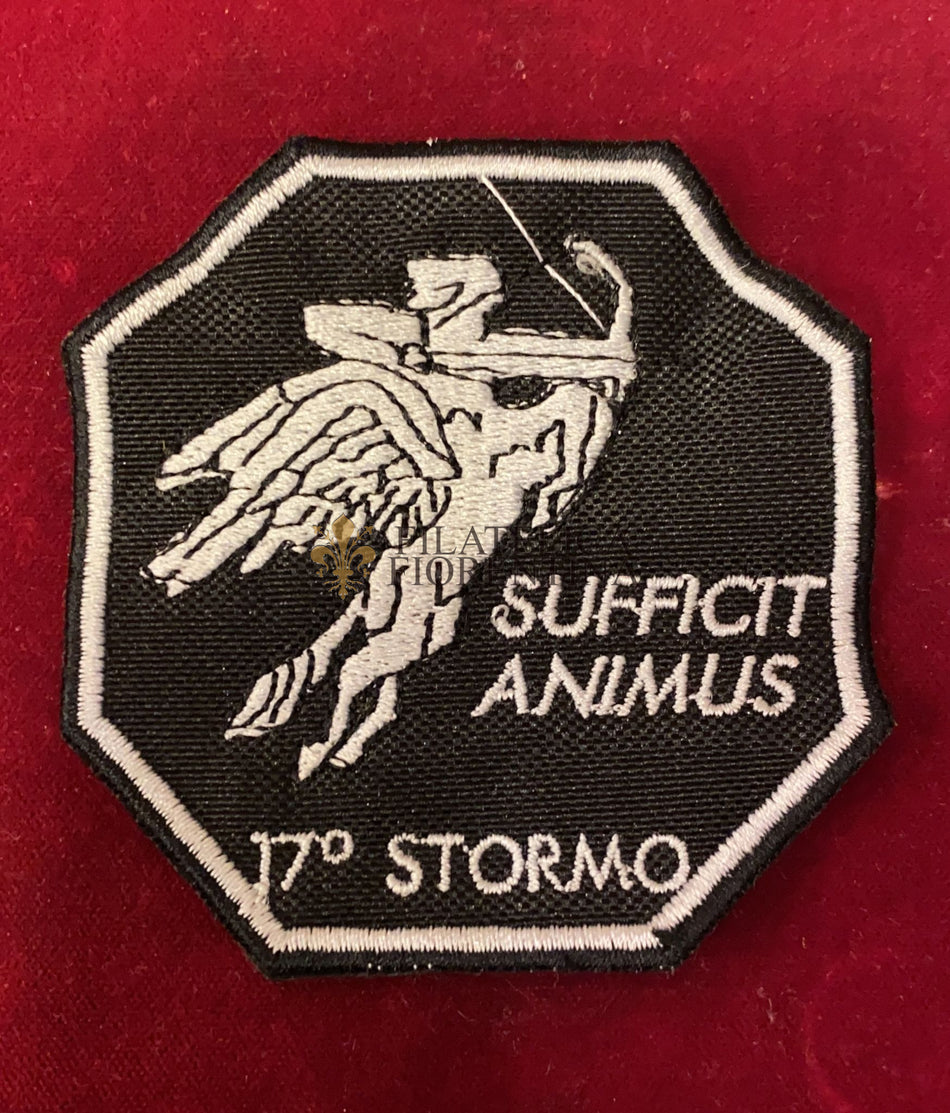 Distintivo del 17° Stormo