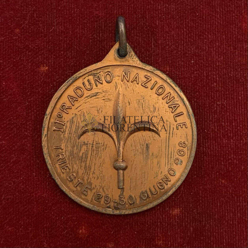 Medaglia Associazione Nazionale Sanità Militare Italiana - II° Raduno Nazionale - Trieste - 1968 (con appiccagnolo)