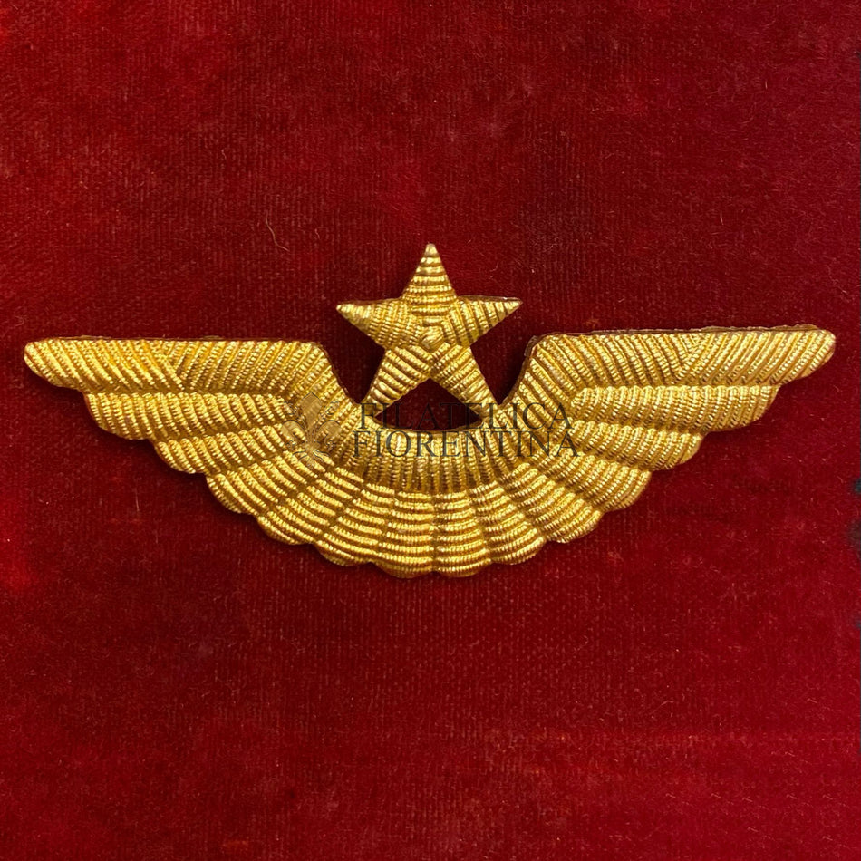 Fregio per ufficiale Aviazione Sovietica