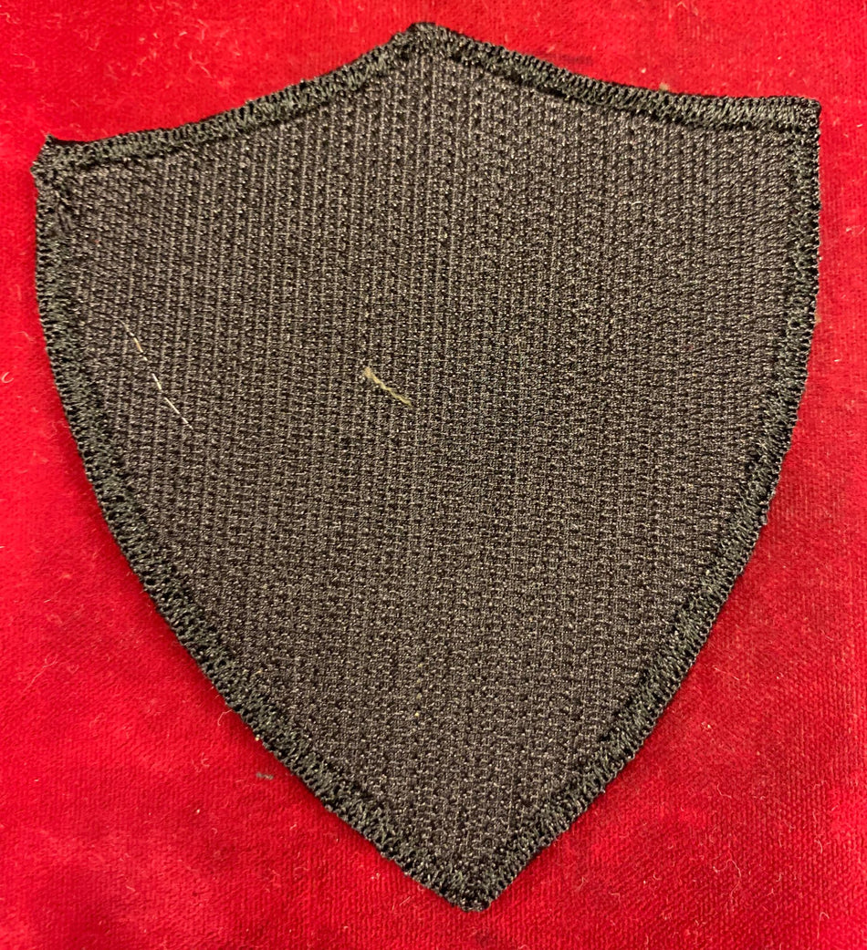 Distintivo del 4° Reggimento ALPINI PARACADUTISTI - Compagnia e Comando Supporto Logistico - AQUILE