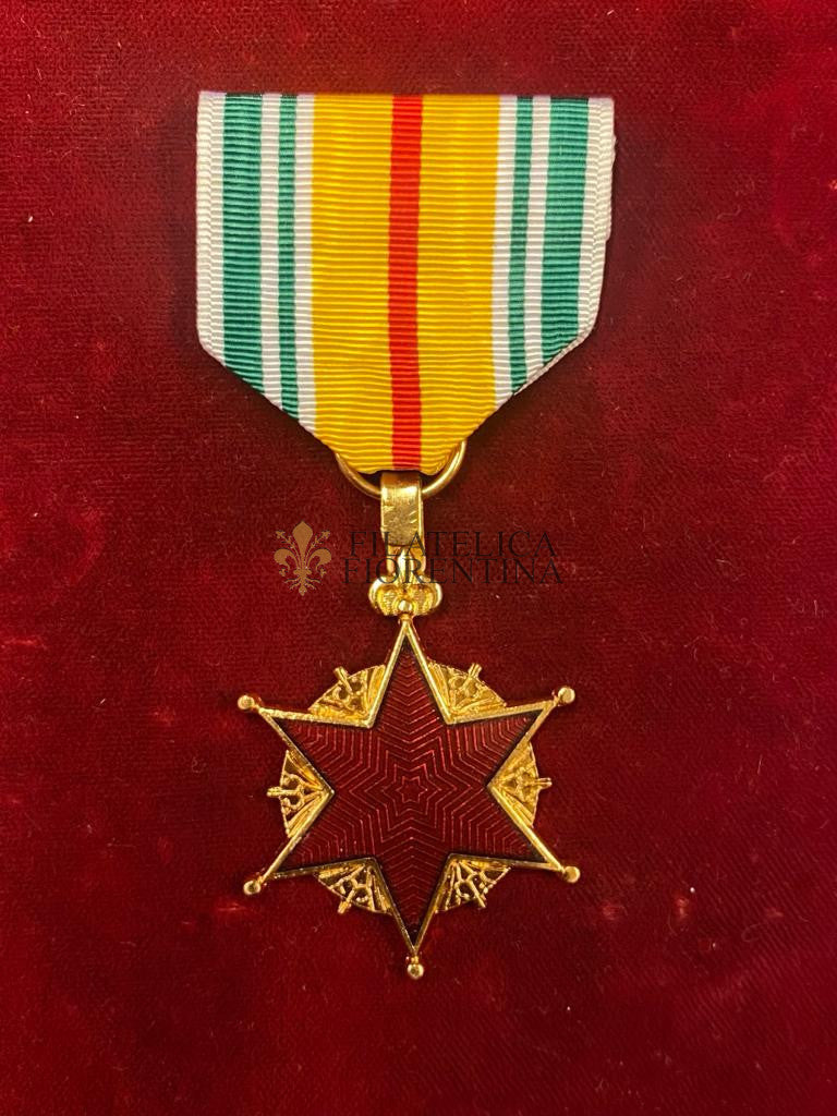 Medaglia da ferito del Vietnam