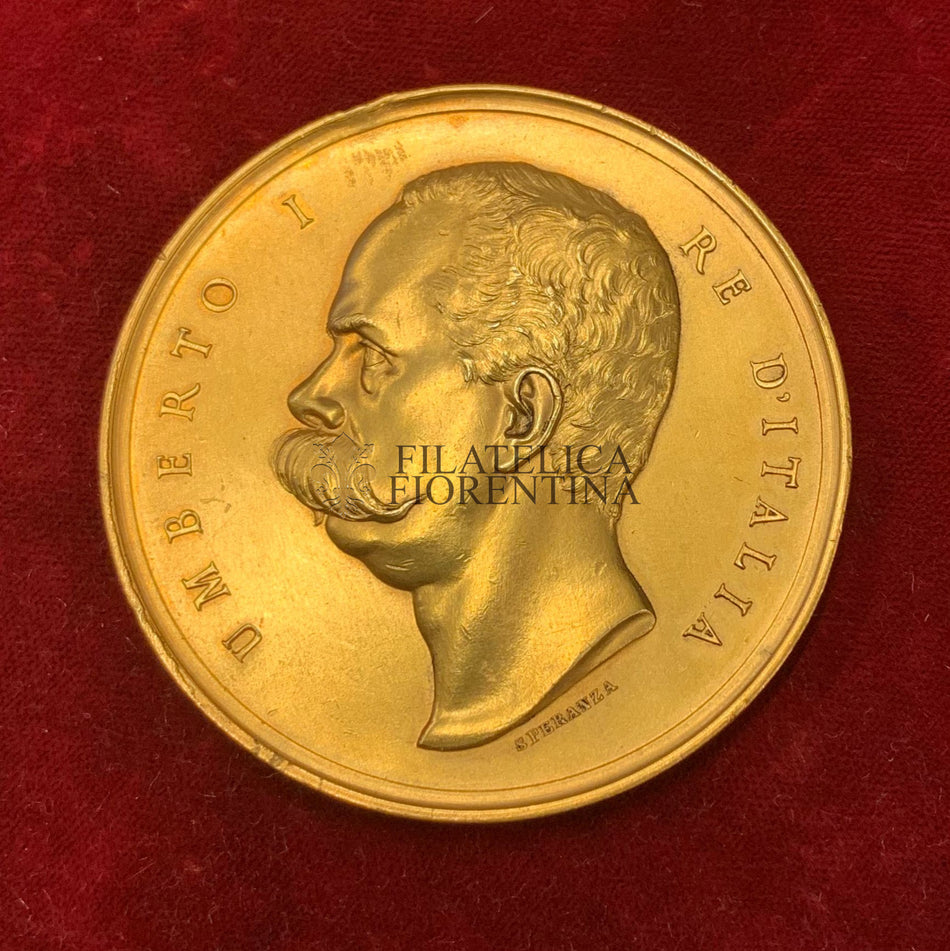 Medaglia Re Umberto I Re d'Italia " Ai Benemeriti dell'Educazione Popolare" Ministro d'Istruzione Pubblica