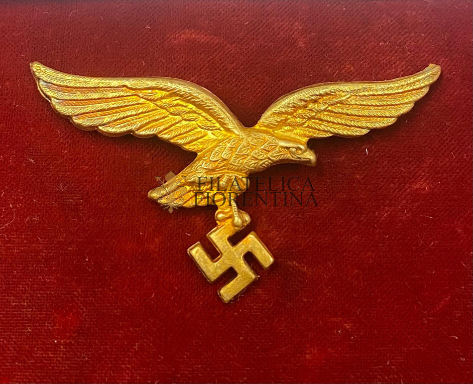 Aquila da Schirmutze da Generale della Luftwaffe