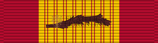 Vietnam Gallantry Cross con palma di bronzo