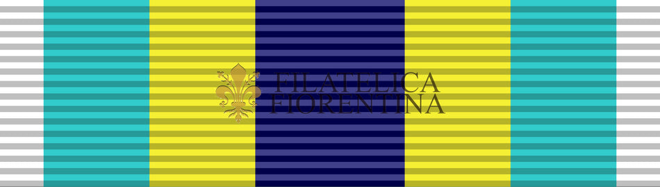 Basic Training Honor Graduate - Air and Space Forces