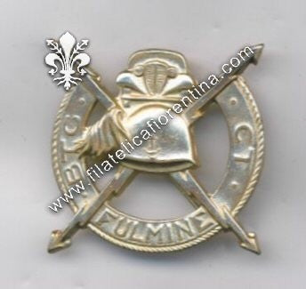 Distintivo del Battaglione CT “ Fulmine " della X^ Flottiglia MAS - dorato