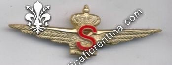 Brevetto  pilota della Regia Aeronautica con  special. Alta quota  ( Stratosferici )